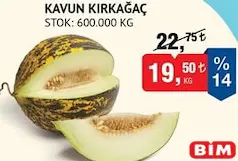 KAVUN KIRKAĞAÇ KG KAVUN KIRKAĞAÇ KG